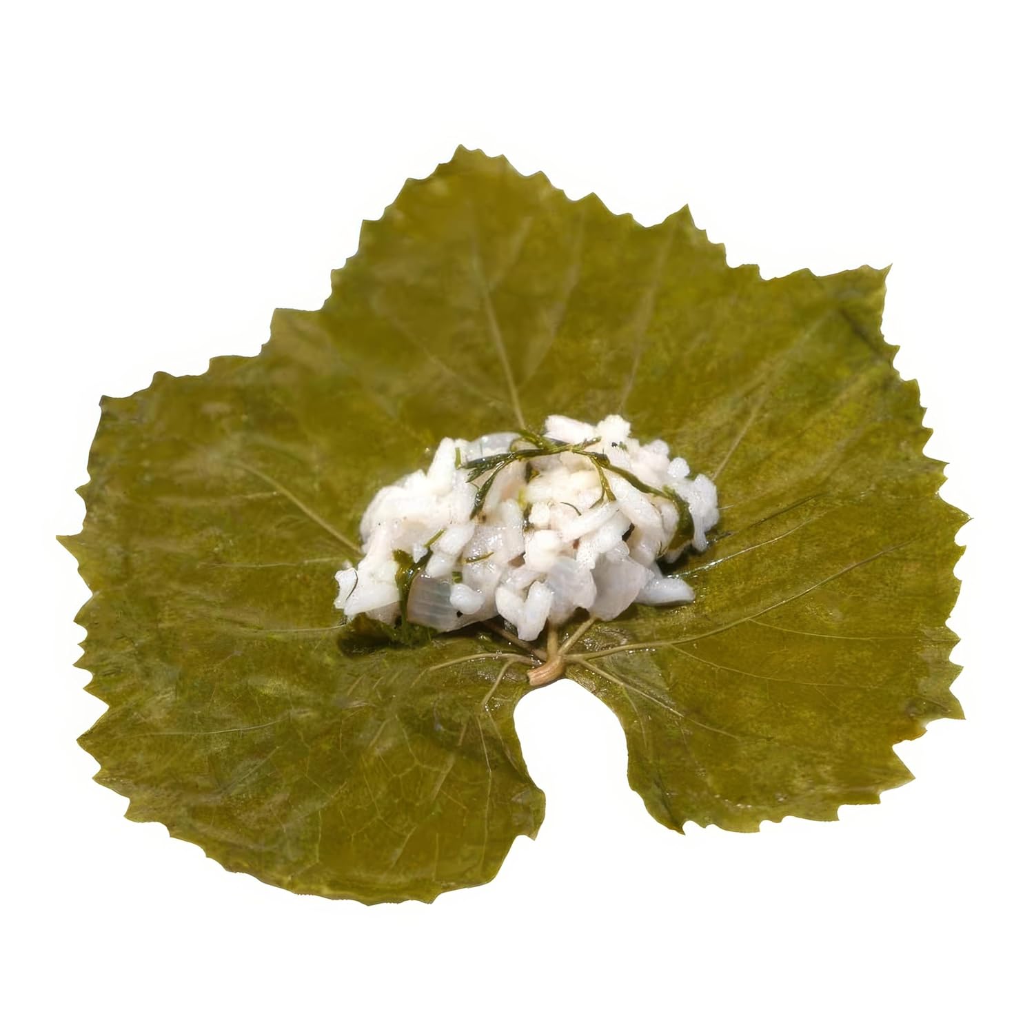 【2 Pack】Tazah Grape Leaves in Glass Jar 16 oz – Tender & Ready to Stuff - Mideast Grocers